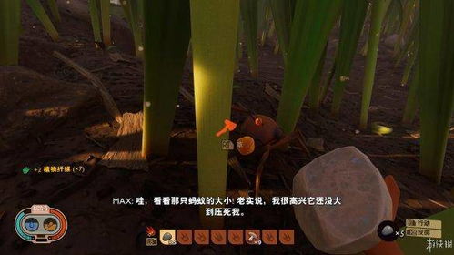 《禁闭求生》飞蛾藏匿全解析，探索求生新奥秘