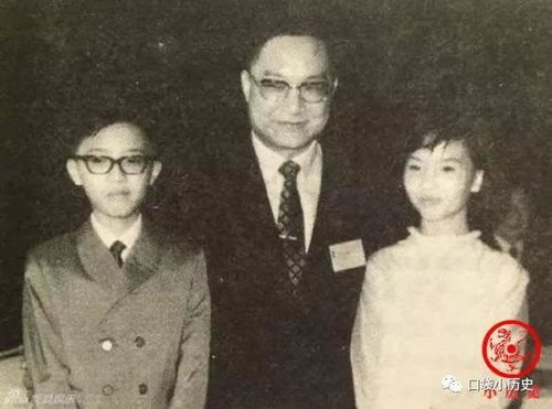 夏梦之谜：解锁《原神》2.8版如诗解谜新篇章