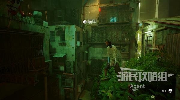 《流浪》深度解析：全流程攻略揭秘，体验沉浸式冒险之旅