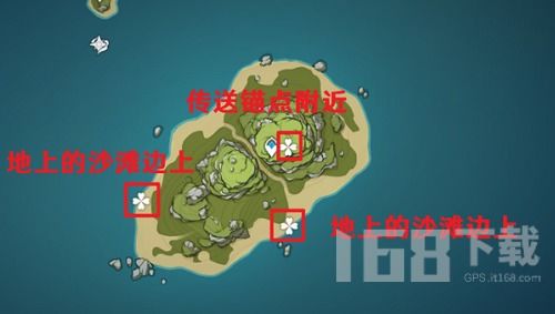 金苹果群岛探秘：揭秘第一天海螺宝藏新线索