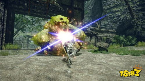 曙光轻弩弹种攻略解析，深度揭秘崛起狩猎技巧！