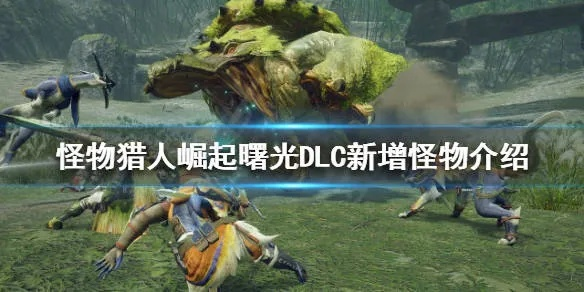 《怪物猎人崛起》曙光DLC轻弩速配攻略：轻装速攻新体验
