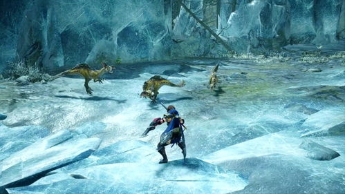 曙光猎具生物分布攻略，深度解析崛起奥秘