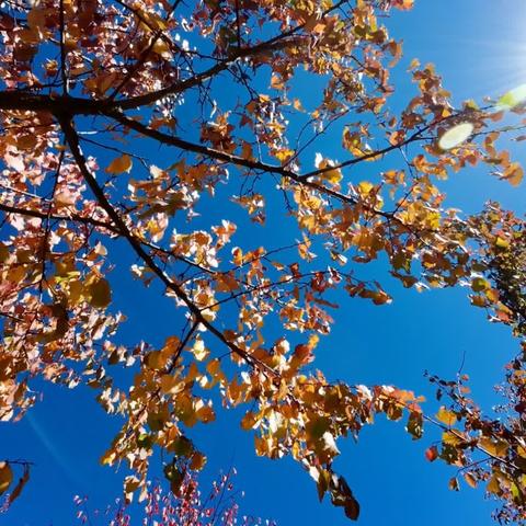 探寻微光深徊新秘境，镜都支线任务升级揭晓