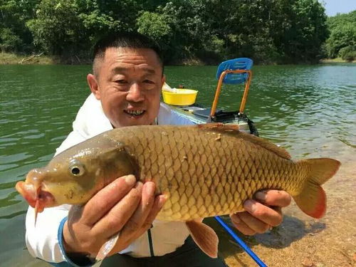 《地心护核者》钓鱼攻略：揭秘珍稀鱼种捕捉秘籍