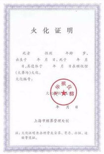 老妇力证生存：死亡证明误开，生死证明新篇章