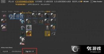 绝地求生服装交易攻略：轻松学会高效卖衣技巧