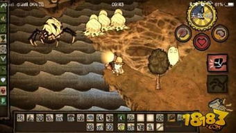 《饥荒》冷门道具深度解析：挖掘隐藏价值攻略