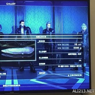 《FF15》全攻略解锁：白金技巧大揭秘，高效通关秘籍分享