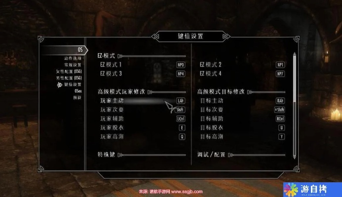 《上古卷轴5》新手攻略：揭秘高效开局秘籍，轻松掌握游戏精髓