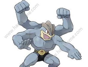 《口袋妖怪日月》能力解析攻略，揭秘通关难点突破之道