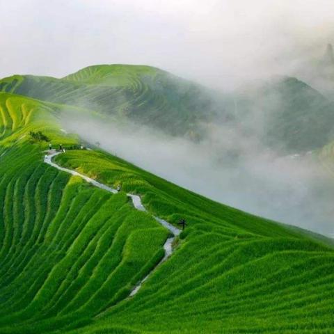 《文明6》中国奇观攻略：全奇观统治胜利秘籍解析