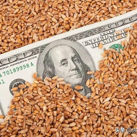 《饥荒》基地建设攻略：大型生存基地构建秘籍详解