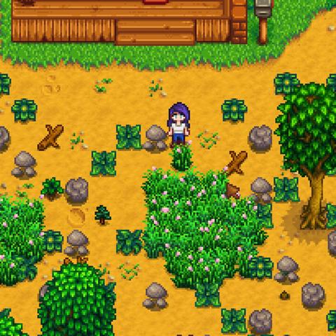 《饥荒》TGP联机生存攻略：新手必看高效生存技巧解析