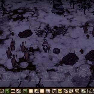 《饥荒》威尔逊生存攻略：深度解析生存技巧与独家秘籍