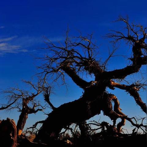 《羞辱》DLC全支线攻略揭秘，骸骨护符收集新技巧解析