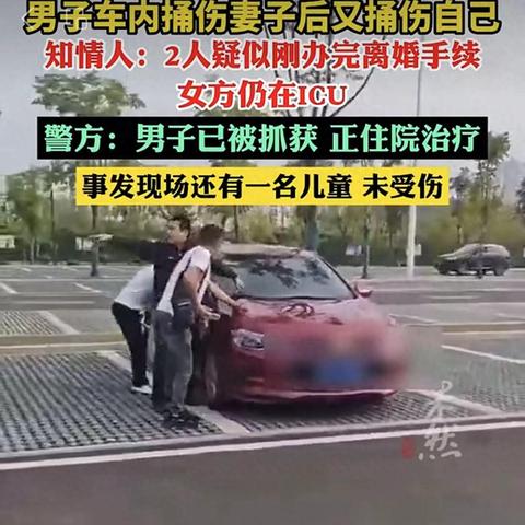 《暴行》深度攻略：全面解析系统机制与全新玩法技巧