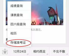 《最后一眼》全攻略揭秘：高效通关秘籍大公开