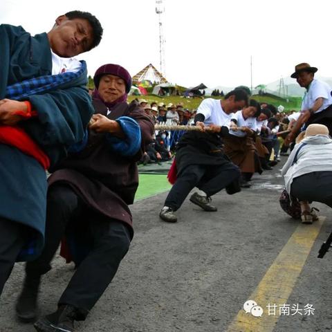 大象耗牛养殖攻略：揭秘高效繁育新技巧