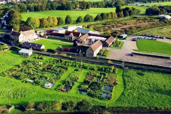 阿柏纳西农场改造揭秘：打造独特废土家园新典范