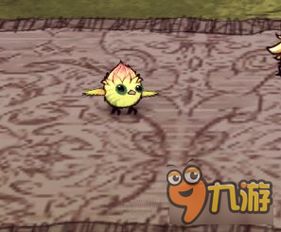 《饥荒》精灵公主凤凰装备攻略与基地布局优化指南