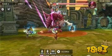 龙之谷大翅膀全解析，2025最暴力输出配装为何突然登顶？