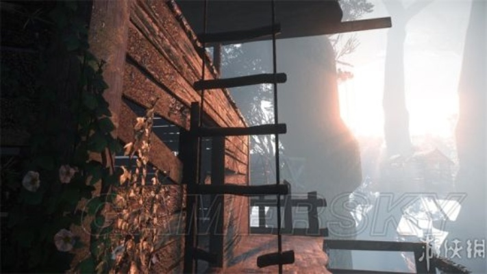 《难题超越山谷》深度解析：画面音效游戏性新体验