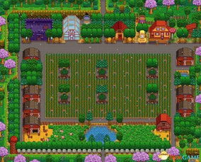 《星露谷物语》农场探险，沙漠奇遇，城镇攻略深度解析