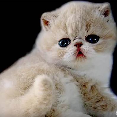 独立游戏游戏大全 人气高的独立游戏游戏排行榜