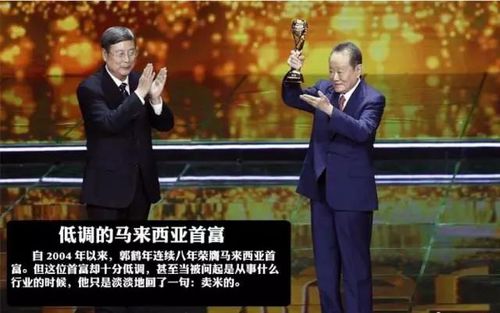 村长门德斯稳过攻略：揭秘全新高效通关技巧