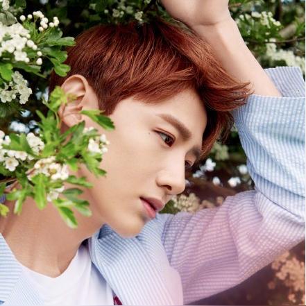 逻辑游戏哪个最好玩 好玩的逻辑游戏盘点