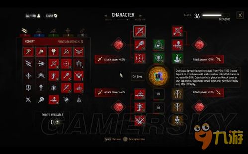 战帆强盗流DLC攻略：深度解析高效加点技巧