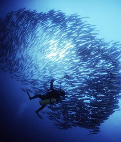 《潜渊症》新道具威力大揭秘，探索深海神秘力量！