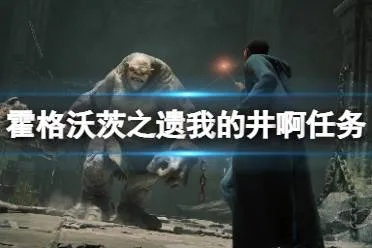 《霍格沃茨之遗》独家攻略：深度解析“我的井啊”任务挑战技巧