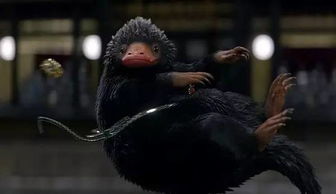 《霍格沃茨之遗》全神奇动物花色揭秘，魔法野兽全貌大公开