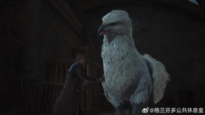 《霍格沃茨之遗》球遁鸟羽毛获取攻略，一网打尽稀有资源