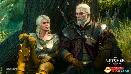 次世代昆特牌攻略秘籍：巫师3MOD深度解析