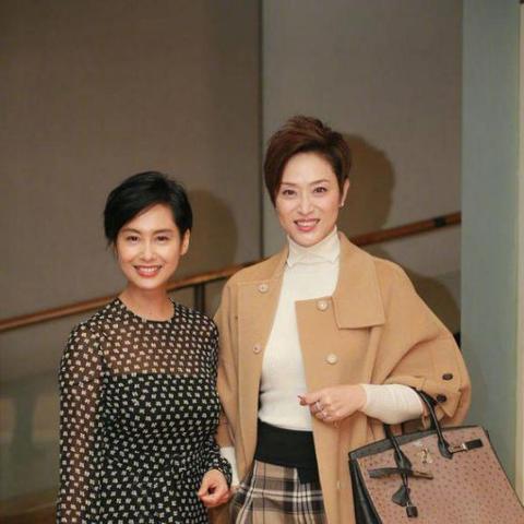 水月深蓝树攻略：解锁《明日方舟》全新神秘玩法，揭秘隐秘价值点