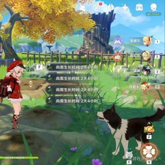 塞西莉亚花高效采集攻略，解锁神秘新价值