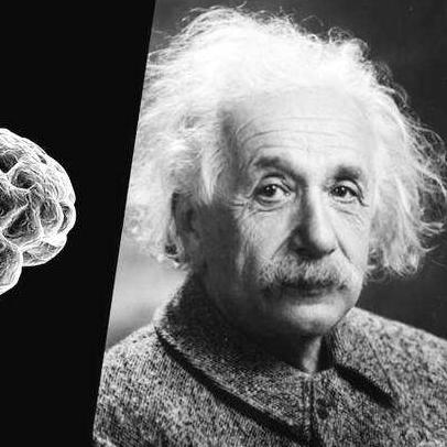 《失心疯》全攻略揭秘：深度解析游戏全程技巧与策略