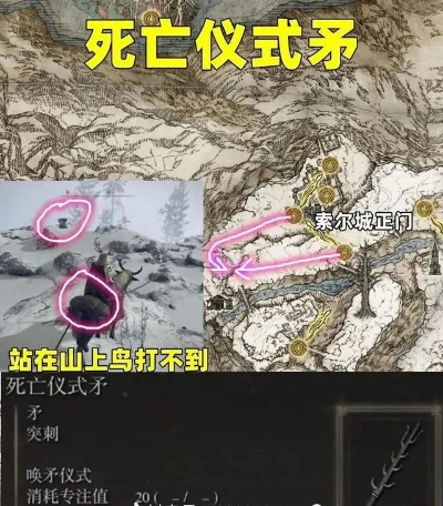 《艾尔登法环》死之鸟攻略：探秘死亡仪式鸟击杀奖励位置