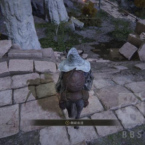 《艾尔登法环》泪滴幼体高效获取指南，解锁神秘新价值