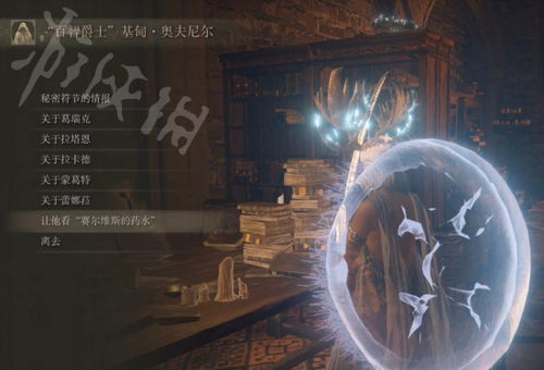 《艾尔登法环》1.03涅斐丽支线攻略解析，涅斐丽露任务奖励一览攻略指南