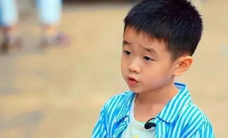 网红鹿哈喜提萌宝，神似鹿晗爸身份引热议