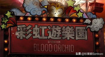 彩虹岛官方2025终极秘技，如何解锁隐藏职业与限时彩蛋？