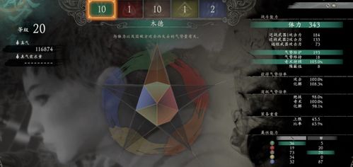 《卧龙苍天陨落》一拳流装备秘籍：高效搭配与精准加点解析