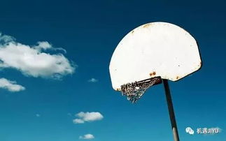 《ScarsAbove》深度解析：沉浸式背景与独特玩法体验