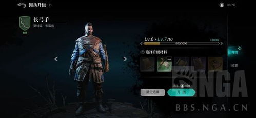 轻骑兵佣兵攻略解析：揭秘环形战争中的强大力量