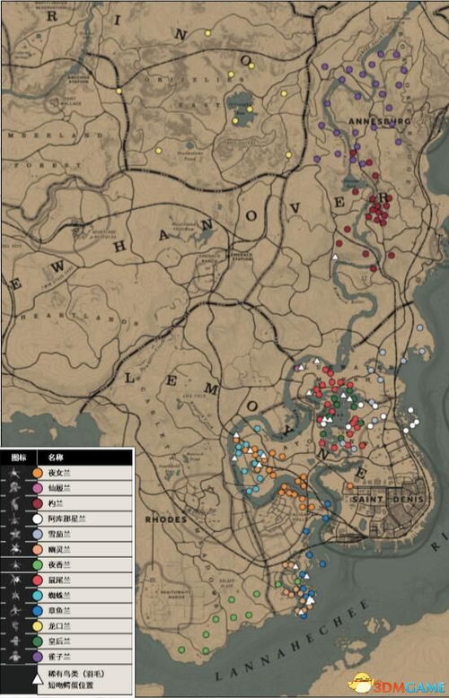 《荒野大镖客2》珍品兰花藏匿全植物分布攻略揭秘