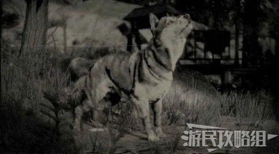 《荒野大镖客2》动物图鉴解析：深度揭秘生存奥秘